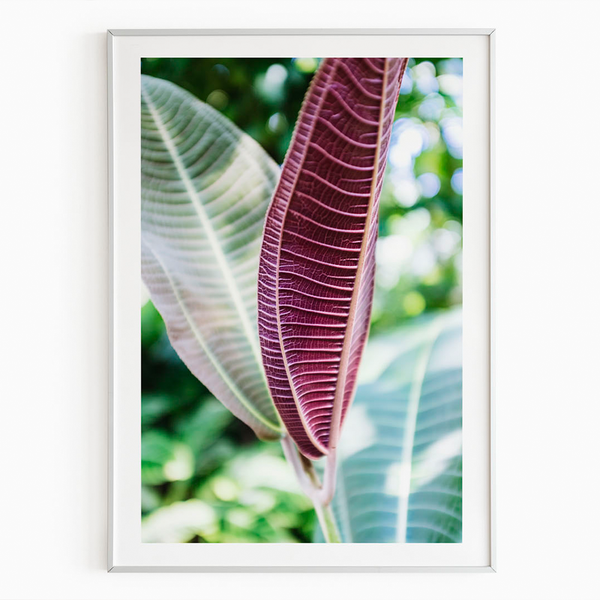 Purple Leaf Print