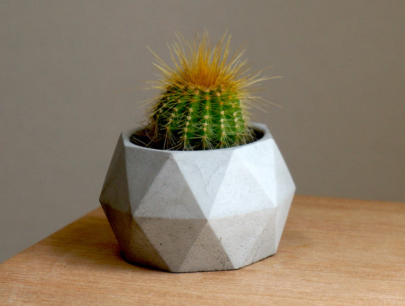 Concrete Polygon Planter M