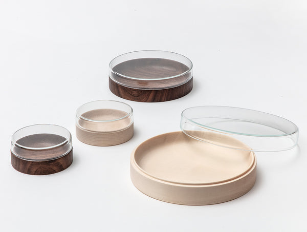 In Sight Jewellery Box