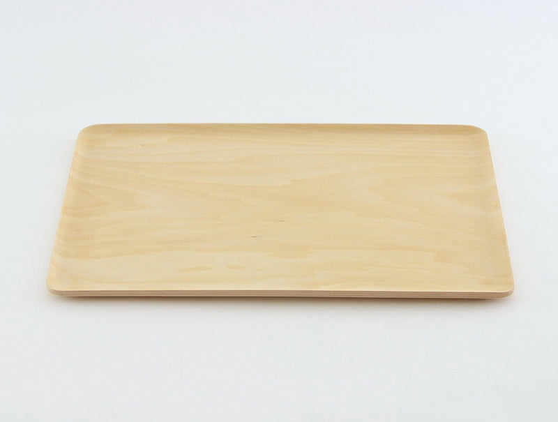 NPT Rectangle Tray