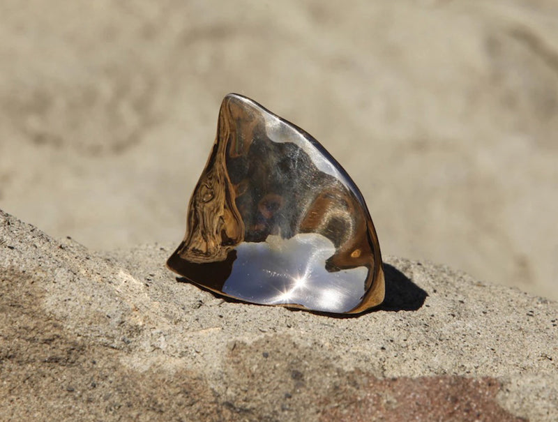 Bronze Fin Large