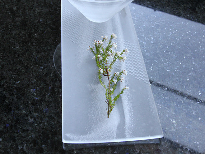 Long Winter Dish