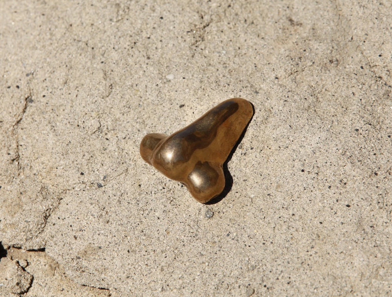 Bronze Nadia Nose