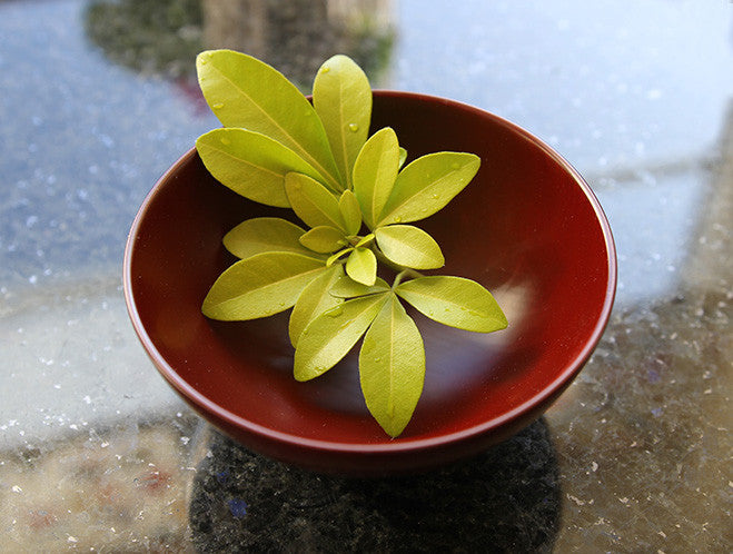 Red Urushi Bowl