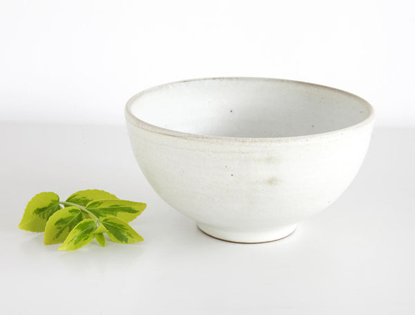 White Coated Bowl