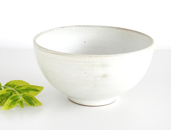 White Coated Bowl